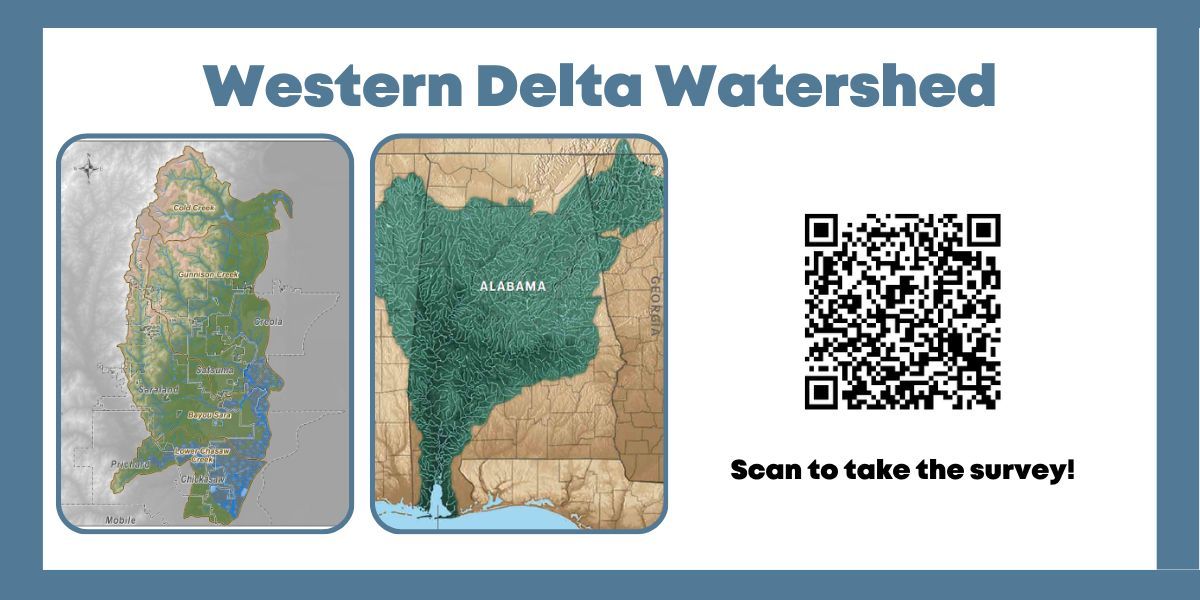 Western Delta survey